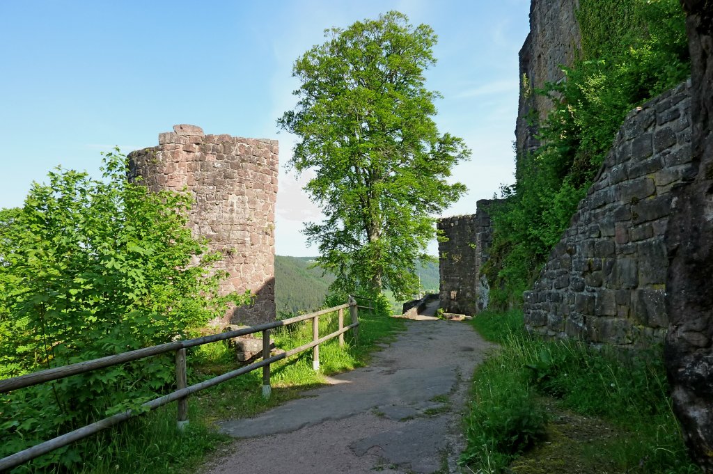 Schramberg, die Burgruine Hohenschramberg hoch ber der Stadt, Baubeginn war 1457, 1688 durch franzsische Truppen zerstrt, Mai 2012