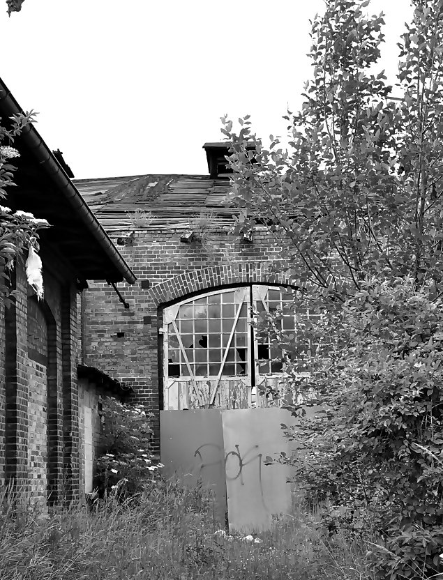 Schuppenruine in Stralsund, eigentlich steht sie unter Denkmalschutz, nur passieren tut sich seit Jahren nichts, 10.06.09