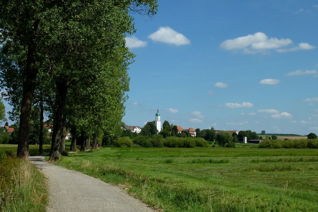 Seekirch am Federsee, Blick auf den Ort, im Vordergrund der Federseeradweg, Aug.2012