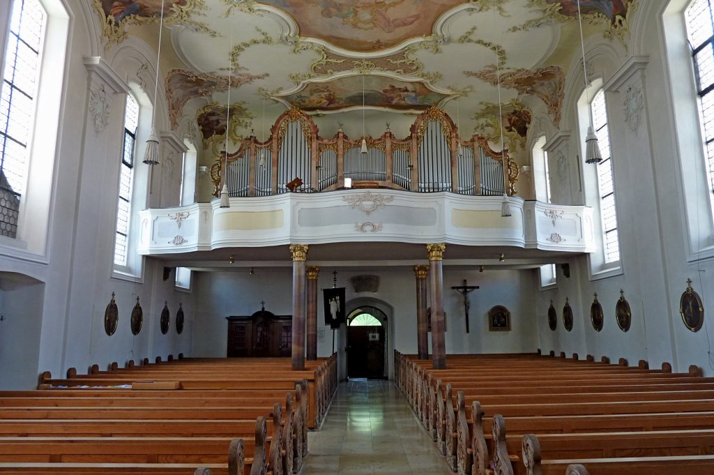 Seekirch, Blick zur Orgelempore in der Pfarrkirche Maria Himmelfahrt, Aug.2012