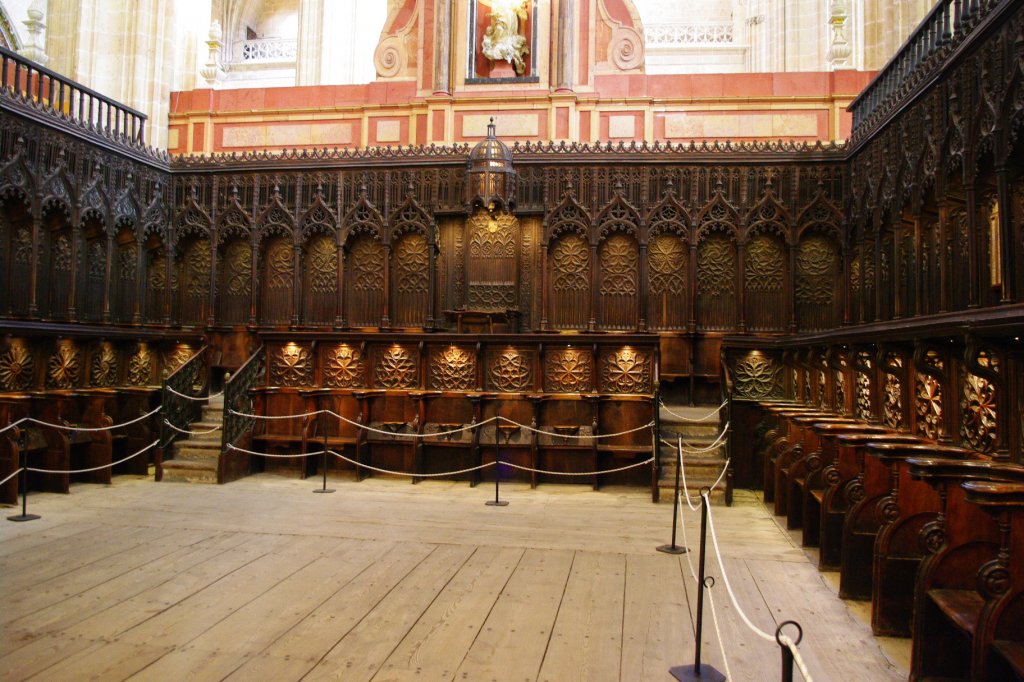 Segovia, Kathedrale, Chorgesthl vo Martin Sanchez (21.05.2010)