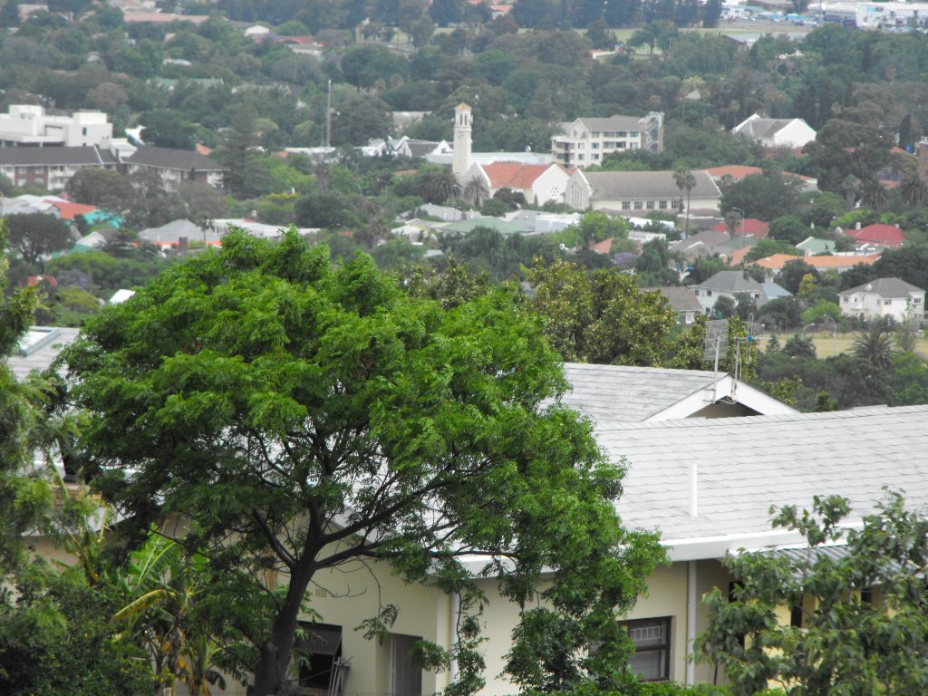 Somerset West ist eine gruene Stadt mit vielen Freiflaechen, Alleen und Baumgruppen in oeffentlichen Raum und in Privatgaerten. Somerset West, 03.12.2010

