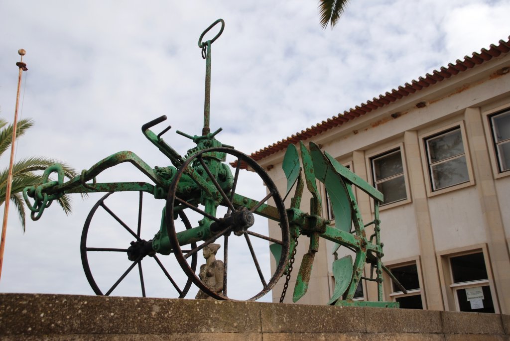 TAVIRA (Concelho de Tavira), 11.02.2010, beim Landwirtschaftlichen Institut