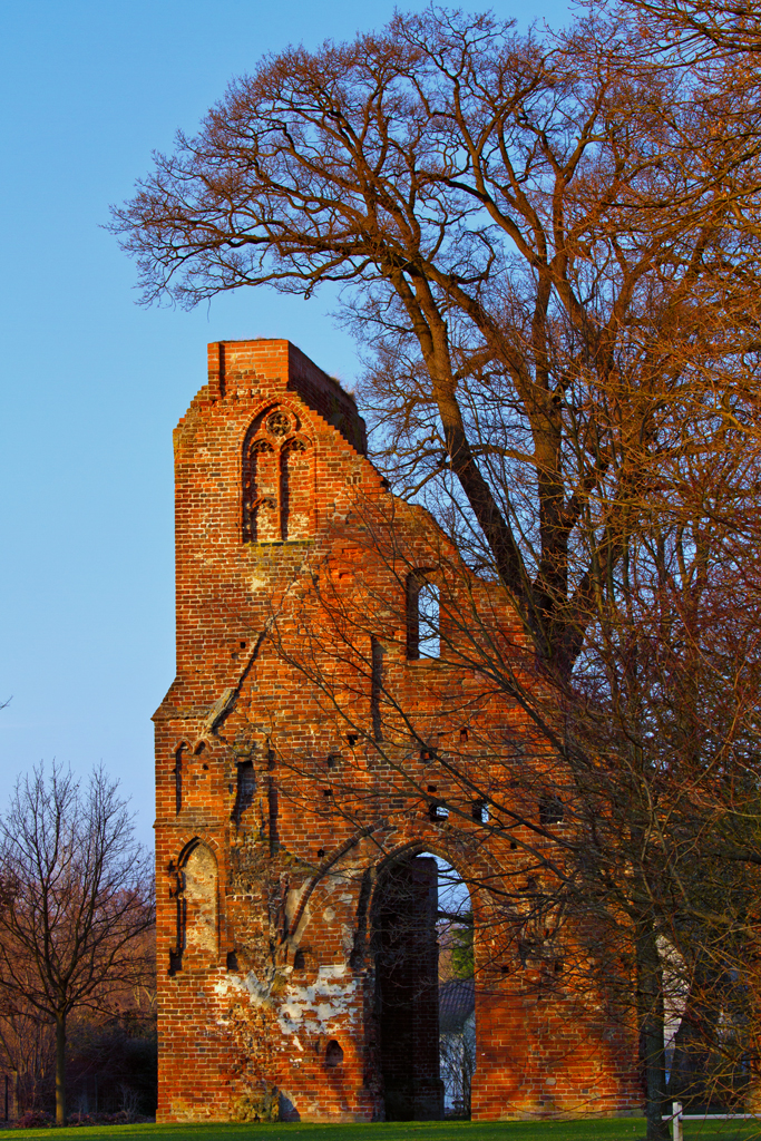 Teil der Klosterruine in Greifswald-Eldena - 26.01.2012