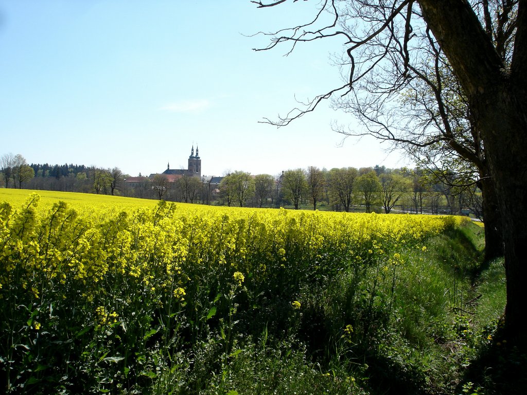 Tepl (Tepla), Blick zur Klosterkirche, das berühmte Prämonstratenser-Stift stammt aus dem 13.Jahrhundert, April 2007