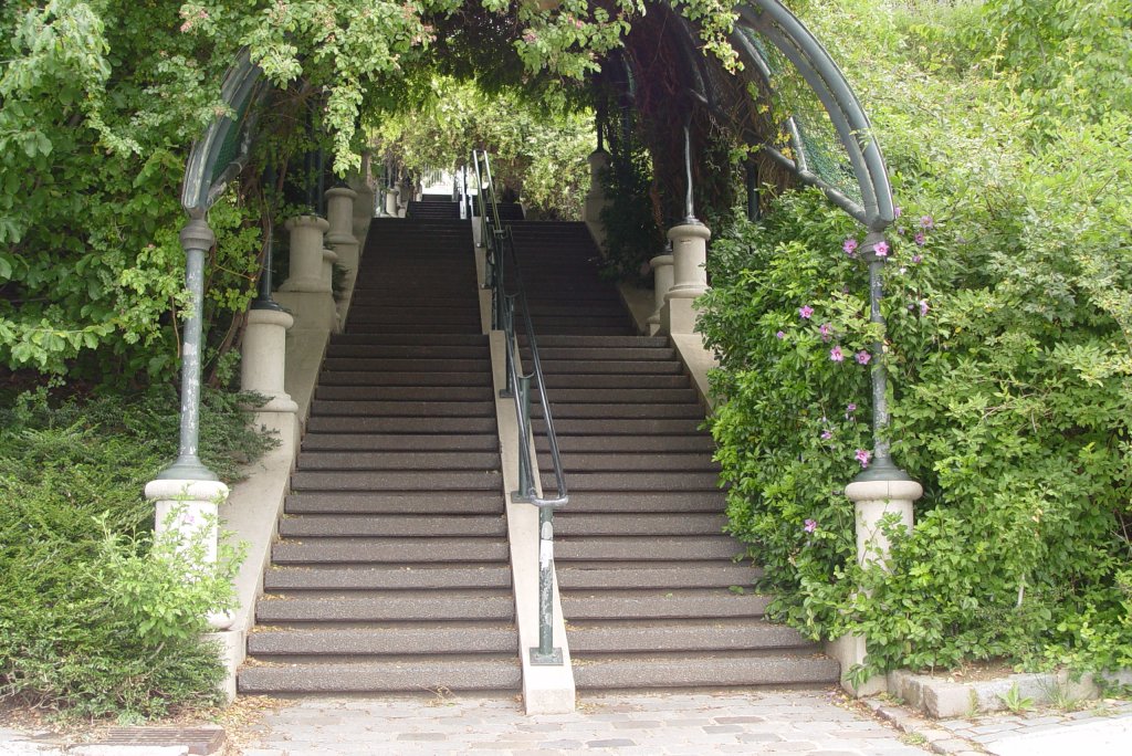 Treppen gibt es in Paris nicht nur auf den Montmartrehügel, sondern auch hier, ein richtig schöner Laubengang, im Parc de Belleville (17.07.2009)