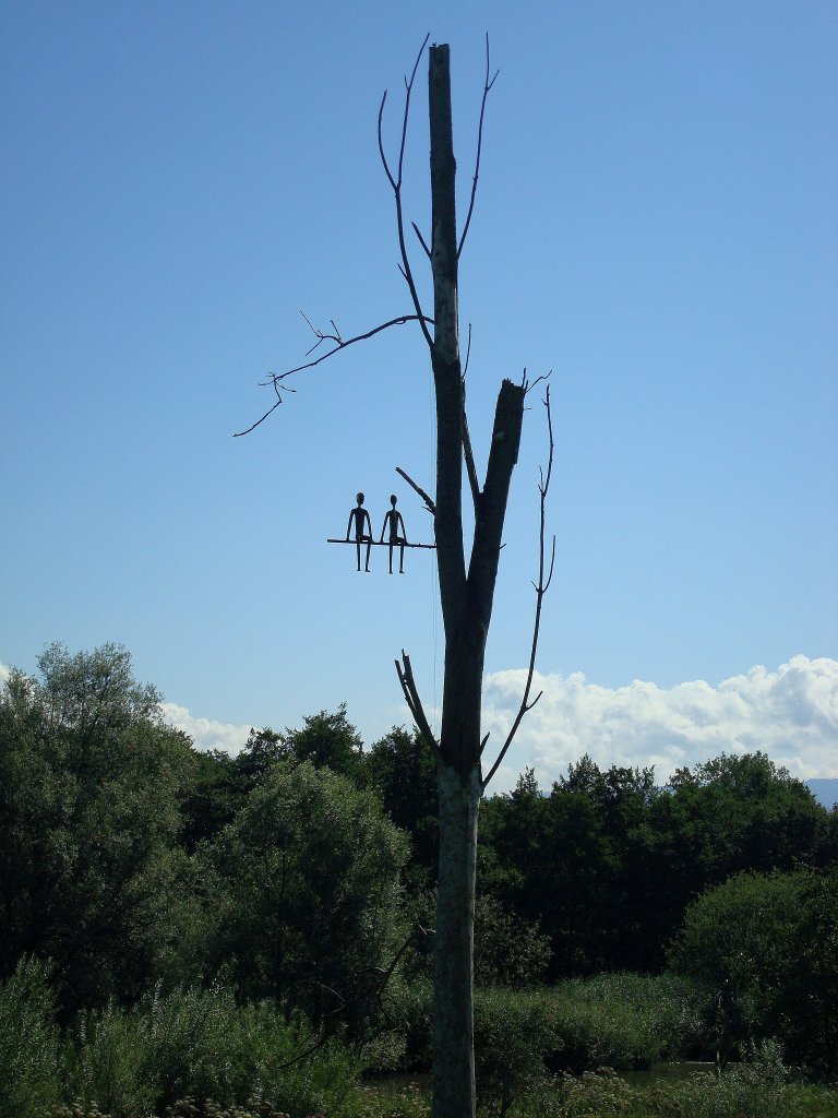 unbekannter Knstler - ob er unsere Zukunft voraussagt ?
gesehen im Landkreis Emmendingen
Aug.2010 