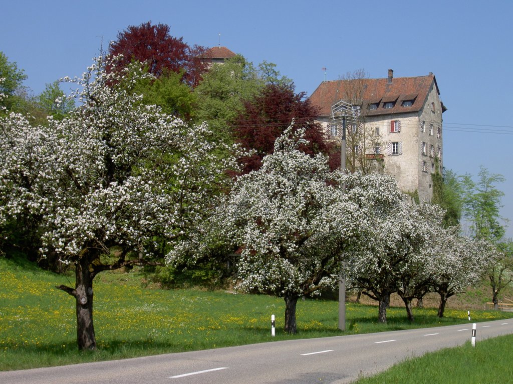 Veltheim, Schloss Wildenstein am Eingang des Schenkenbergtal, Bergfried aus dem 14. Jahrhundert, heute Altersheim, Bezirk Aarau (19.04.2011)