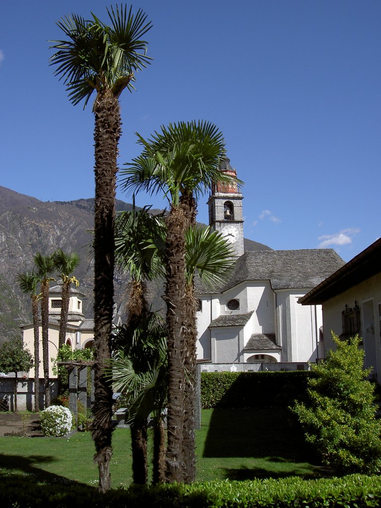 Verscio, San Fedele Kirche, erbaut im 13. Jahrhundert (08.04.2012)