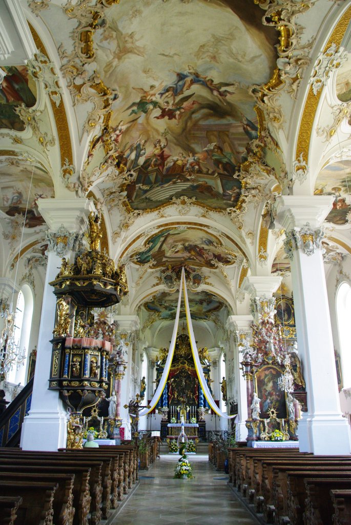 Violau, Wallfahrtskirche St. Michael, Mittelschiff mit Hochaltar 
und Kanzel (04.05.2011)