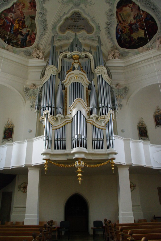 Wallfahrtskirche Mari Geburt Witzighausen, Langhaus mit Orgel, 
Landkreis Neu-Ulm (15.01.2011)