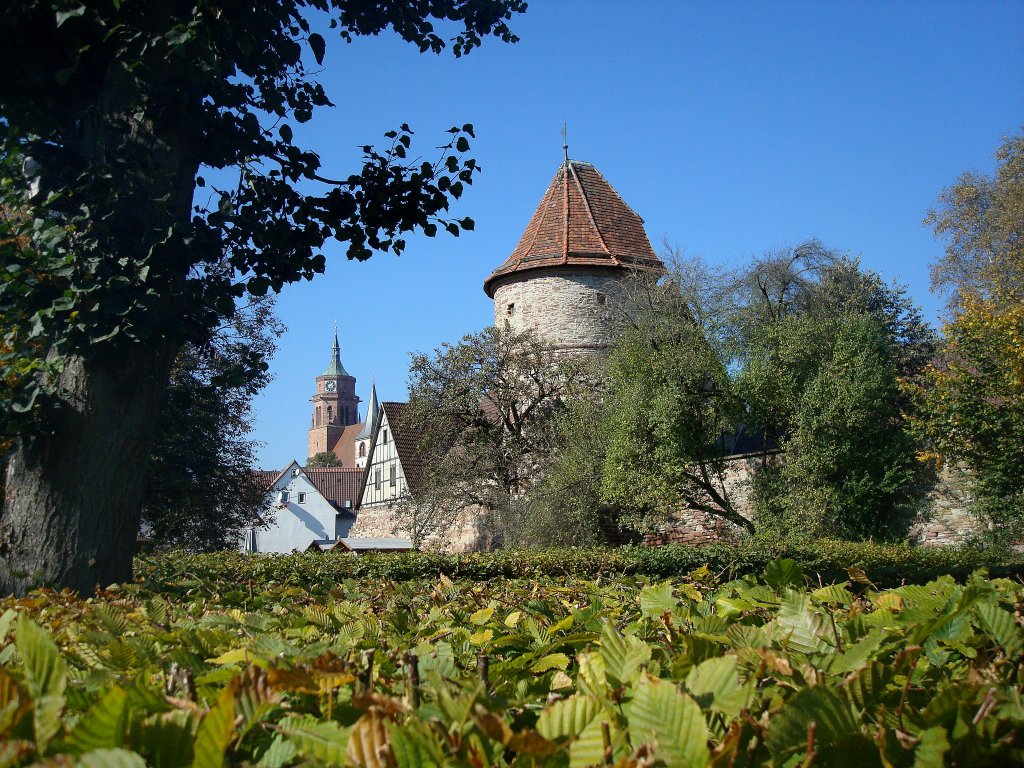 Weil der Stadt, Blick ber Stadtmauer mit Wehrturm zur Stadtpfarrkirche, Okt.2010