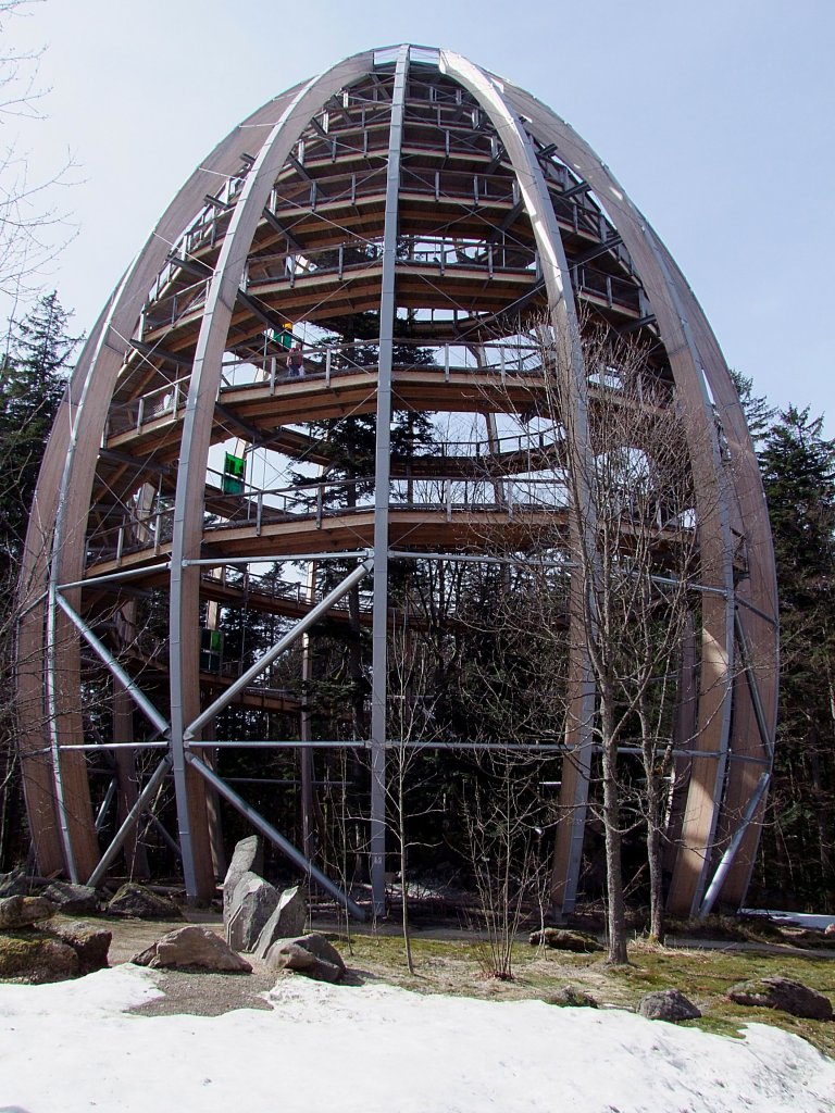 Weithin sichtbar, bzw. einen weiten Fernblick gewhrt das 44mtr. hohe  Waldei  beim Baumwipfelpfad in Neuschnau im Bayerischen Wald; 120327 