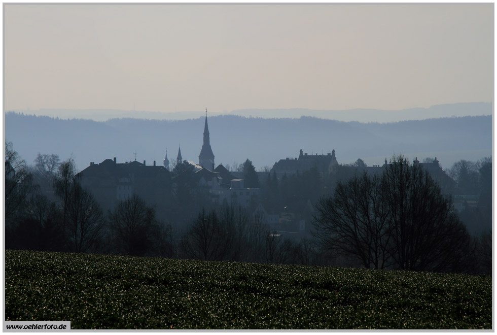 Wenn man von Altenburg in Richtung Waldenburg fhrt, bietet sich kurz vor dem Ortseingang Waldenburg dieser Blick auf die Muldenstadt, fotografiert am 02.03.2011 im morgendlichen Gegenlicht.