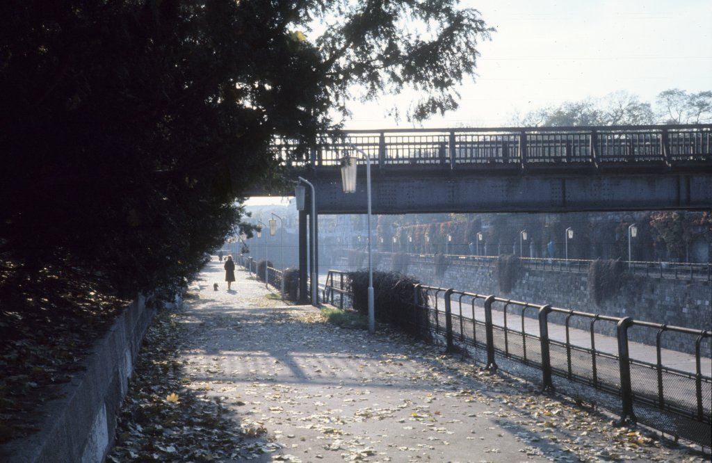 Wien: Der Fluss Wien und der Stadtpark am 3. November 1976.