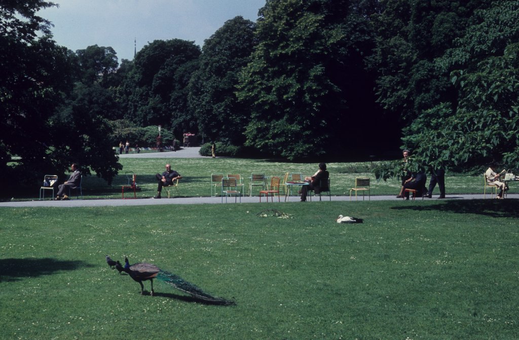 Wien Stadtpark am 14. Juni 1971.