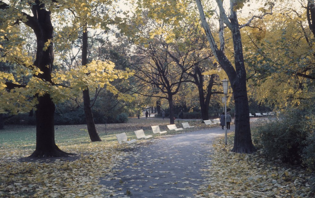 Wien Stadtpark am 3. November 1976.