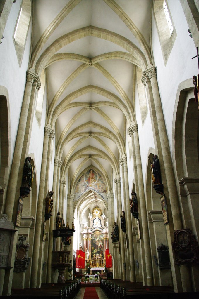 Wiener Neustadt, Dom Maria Himmelfahrt, erbaut in der 1. Hlfte des 13. Jahrhunderts, Langhaus mit den 12 Apostelfiguren (02.06.2011)