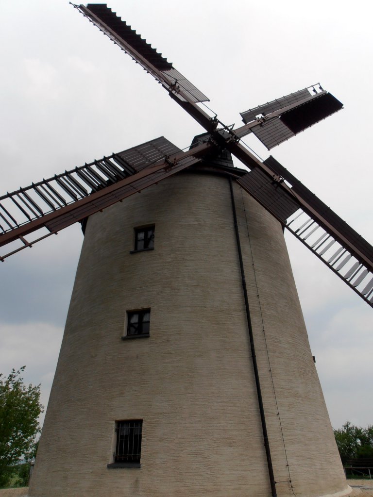 Windmühle in Syrau. Foto 31.05.2012