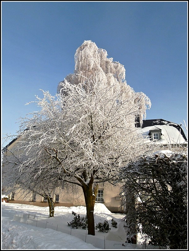 Winter in Berl. 31.12.2010 (Jeanny)