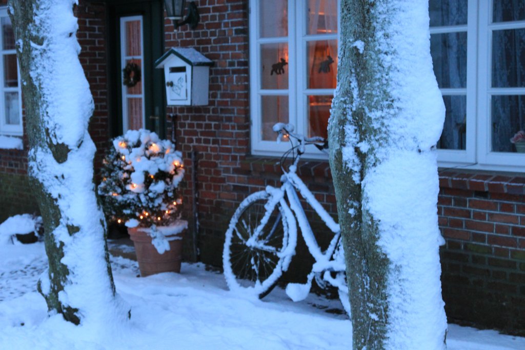 Winterliche Idylle in Oldsum auf Fhr am 22.12.2010