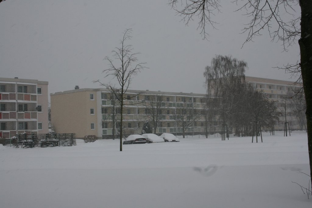 Wohngebietspark, Kaltenborner Strae, Winter 2009/10, 10.01.10