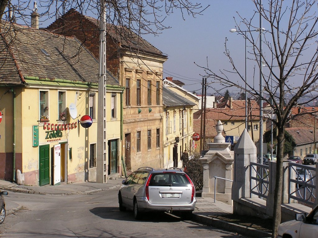 Wohnhäser, eine Kneipe und ein türkische Brunnen, in Pécs Ungarn. (April 2010)