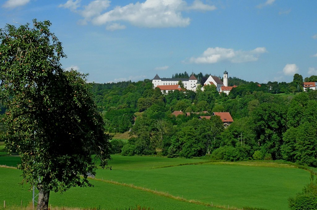 Wolfegg, Blick auf den Ort mit dem Fürstenschloß, Aug.2012