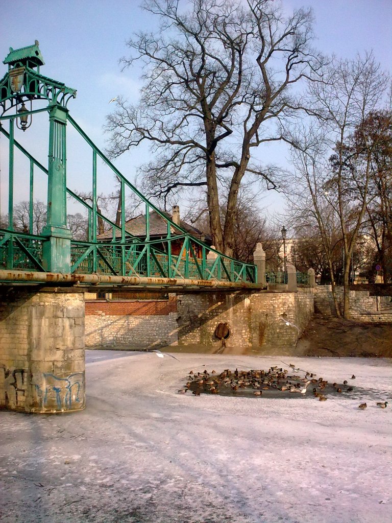 Zugefrorener Mhlgraben in Oppeln (Opole) im Januar 2013 mit Schwimmloch fr Enten neben der  Groschenbrcke  (diese heit so, weil das berqueren einst einen Groschen kostete)