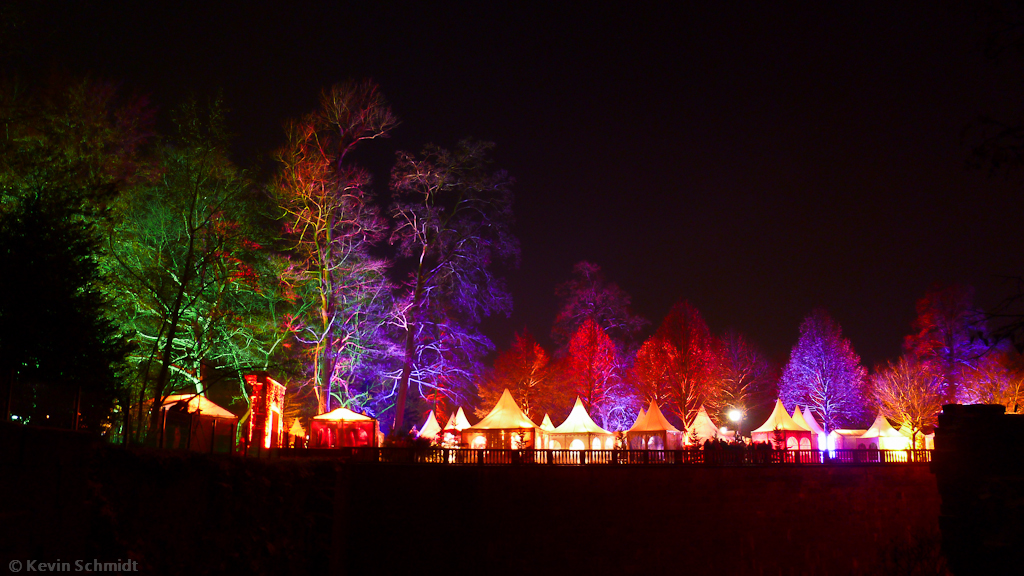 Zur Heidelberger Schlossweihnacht 2012 waren die Bume, unter denen der Weihnachtsmarkt stattfand, eindrucksvoll bunt beleuchtet. (08.12.2012)