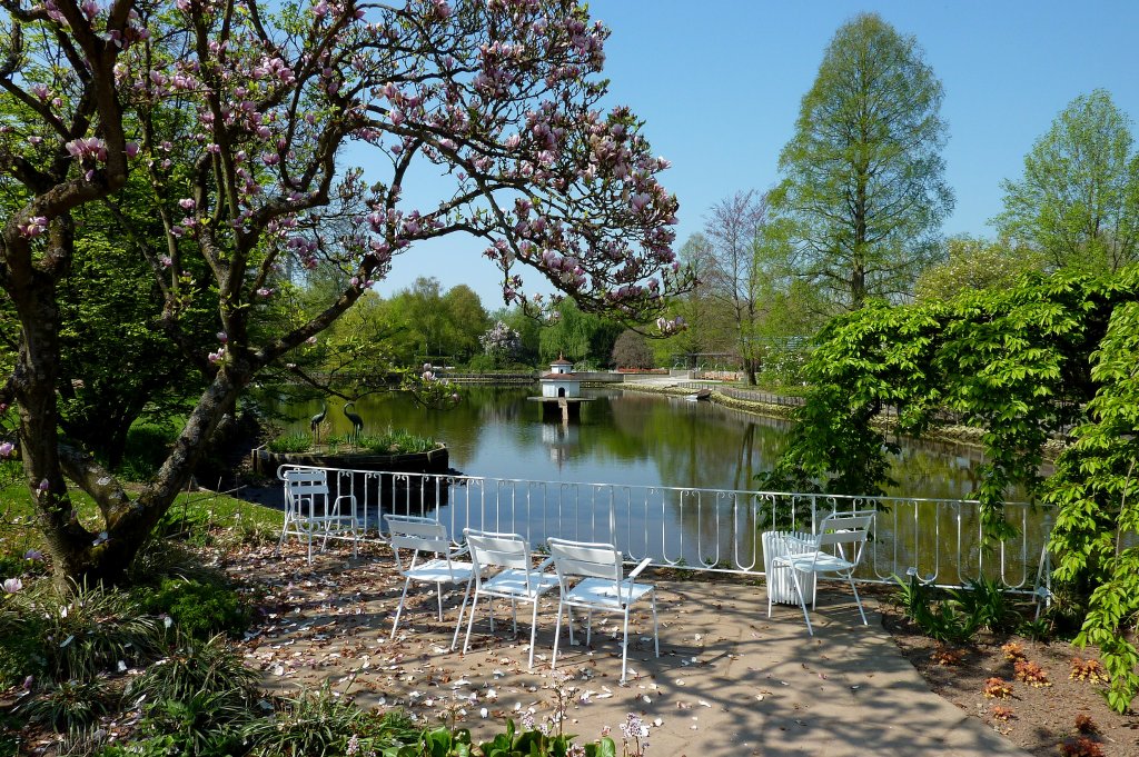 Zweibrcken, der Europa-Rosengarten, zhlt mit ber 50.000 Quadratmetern zu den grten Grten Europas, zeigt ber 60.000 Rosen in 2000 verschiedenen Sorten, April 2011