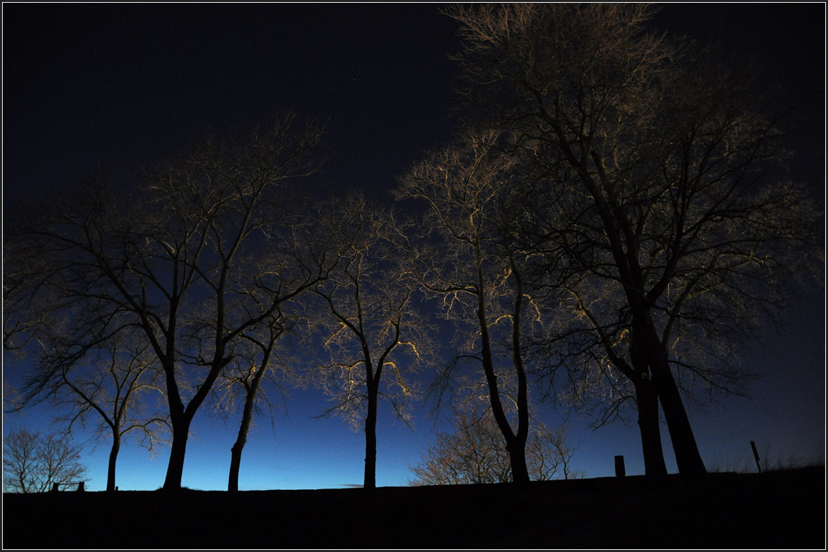 . Bäume auf der Mauer - 

Nacht-Impression der Akershus-Festung in Oslo. Die Festungsmauer wird von der anderen Seite her angestrahlt.

29.12.2013 (Jonas)