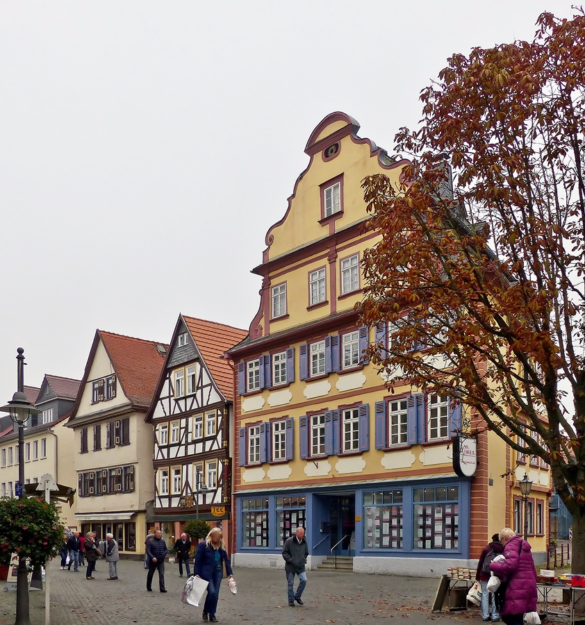 . Butzbach (Wetterau) - Spaziergang durch die Weiseler Strae. 01.11.2014 (Jeanny)