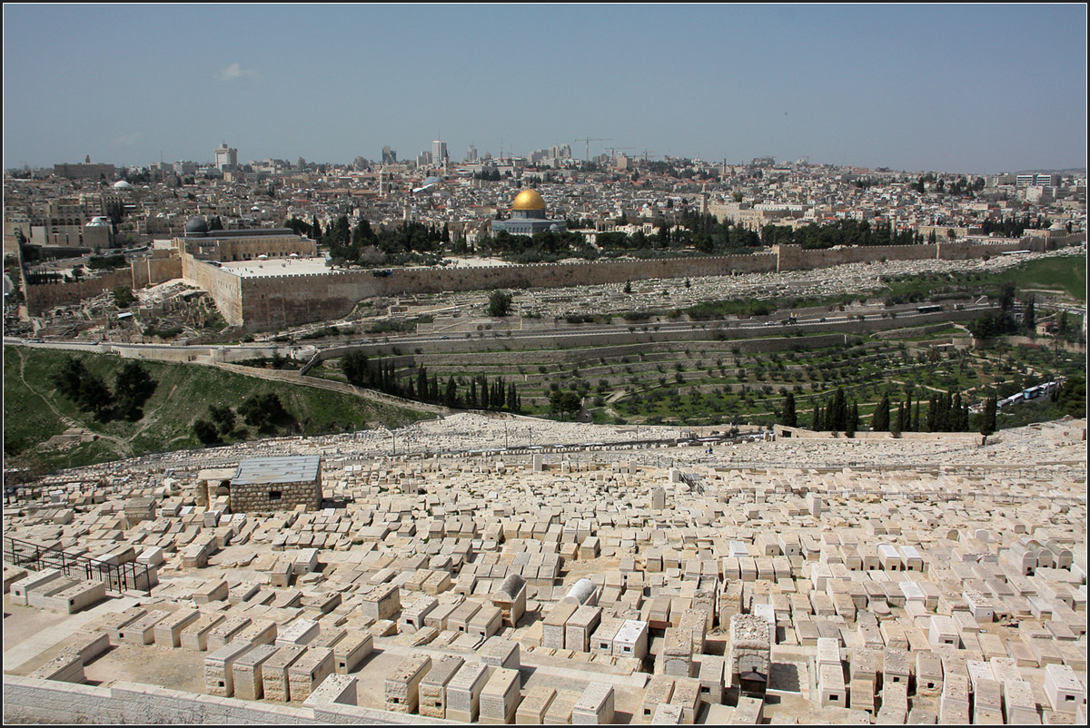 . Die 'klassische' Ansicht von Jerusalem -

Ausblick vom Aussichtspunkt auf dem lberg auf die Jerusalemer Altstadt. Im Vordergrund der jdische Friedhof. Unterhalb der Altstadtmauer befindet der muslimische Friedhof.

19.03.2014 (Matthias)