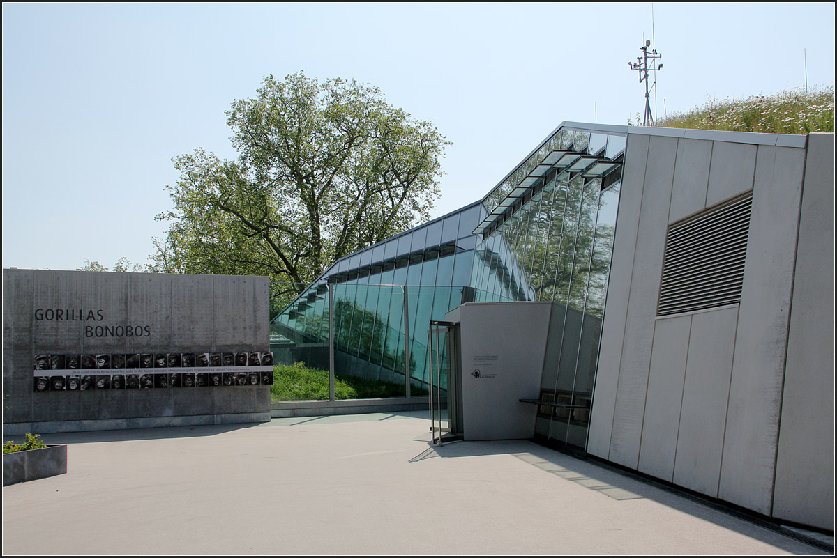 . Ein neues Haus fr die Menschenaffen in der Wilhelma -

2013 wurde das neue Affenhaus in der Stuttgarter Wilhelma fertig, geplant von Hascher und Jehle aus Berling. Hier der Eingangsbereich.

http://architektur.startbilder.de/name/galerie/kategorie/architekten~hascher-jehle-architektur~2013-affenhaus-wilhelma-stuttgart.html

08.06.2013 (Matthias)