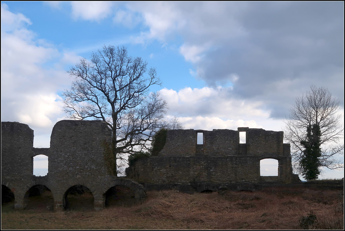 . Festung Hohentwiel -

Alte Mauern und Bume vor Wolkenhimmel.

04.02.2018 (M)