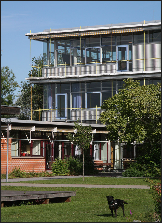 . Hilde-Domin-Schule Herrenberg -

Der Altbau von 1983.

August 2014 (Matthias)