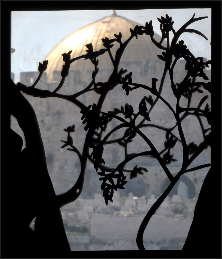 . Hinber zum Felsendom -

Die Bauwerke der verschiedenen Religionen liegen in Jerusalem nie weit auseinander. Hier ein Blick aus dem Innern der Kirche der Nationen hinber zum Felsendom.

19.03.2014 (Jonas)

 