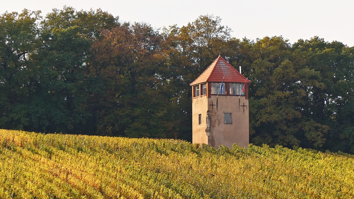 . Schengen - Der Markusberg mit Markusturm. 19.10.2014 (Jeanny)

Der Markusturm von unbekanntem Baujahr wurde von den Schlossherren des Schengener Schlosses errichtet. Seit seiner Renovierung in den 80er Jahren des 20. Jahrhunderts dient er als Aussichtsturm. Die Statue des heiligen Markus, die an einer Ecke des Turms angebracht ist, stammt vom luxemburgischen Bildhauer Claus Cito. Der Schutzheilige wacht ber die Weinberge, die sich auf 20 ha bis zum Ufer der Mosel ziehen und die die Bezeichnung „Markusberg  tragen.
