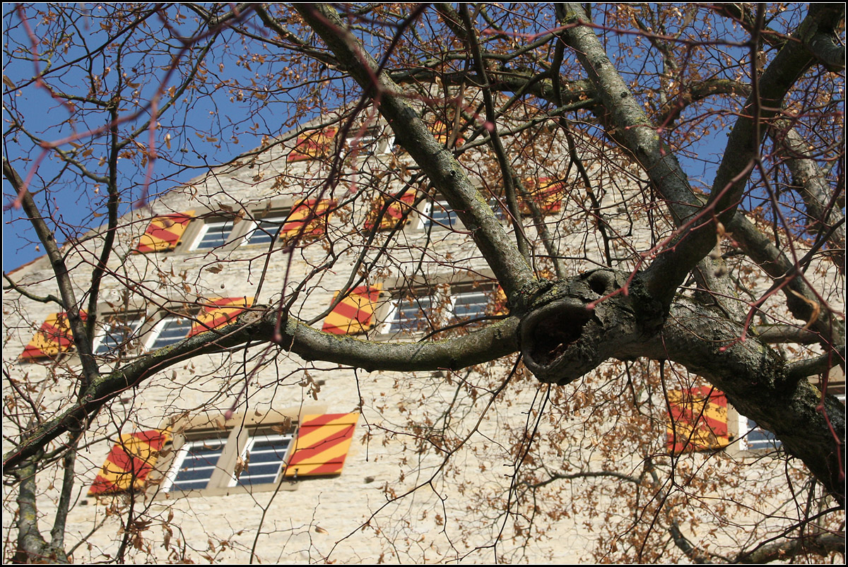 . Wie ein Wasserspeier in Form eines Tierkopf -

...wirkt dies Astgabelung eines Baumes auf der Terrasse des Alten Zeughausen in Schwbisch Hall.

22.01.2017 (M)


