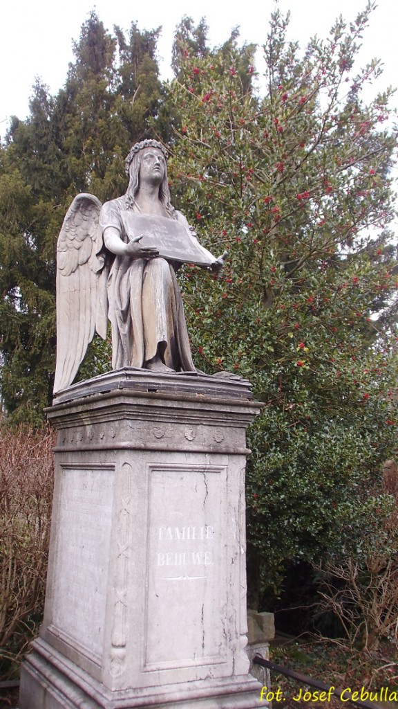 (2014.01.03) Aachen - Ostfriedhof
