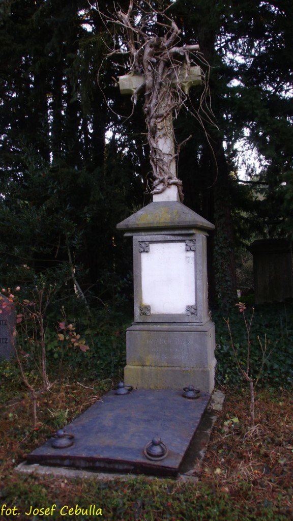 (2014.01.22) Aachen - Ostfriedhof