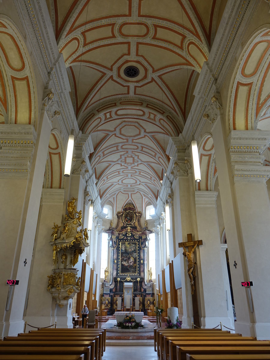 Česk Budějovice, gotischer Innenraum der St. Nikolaus Kathedrale (26.05.2019)