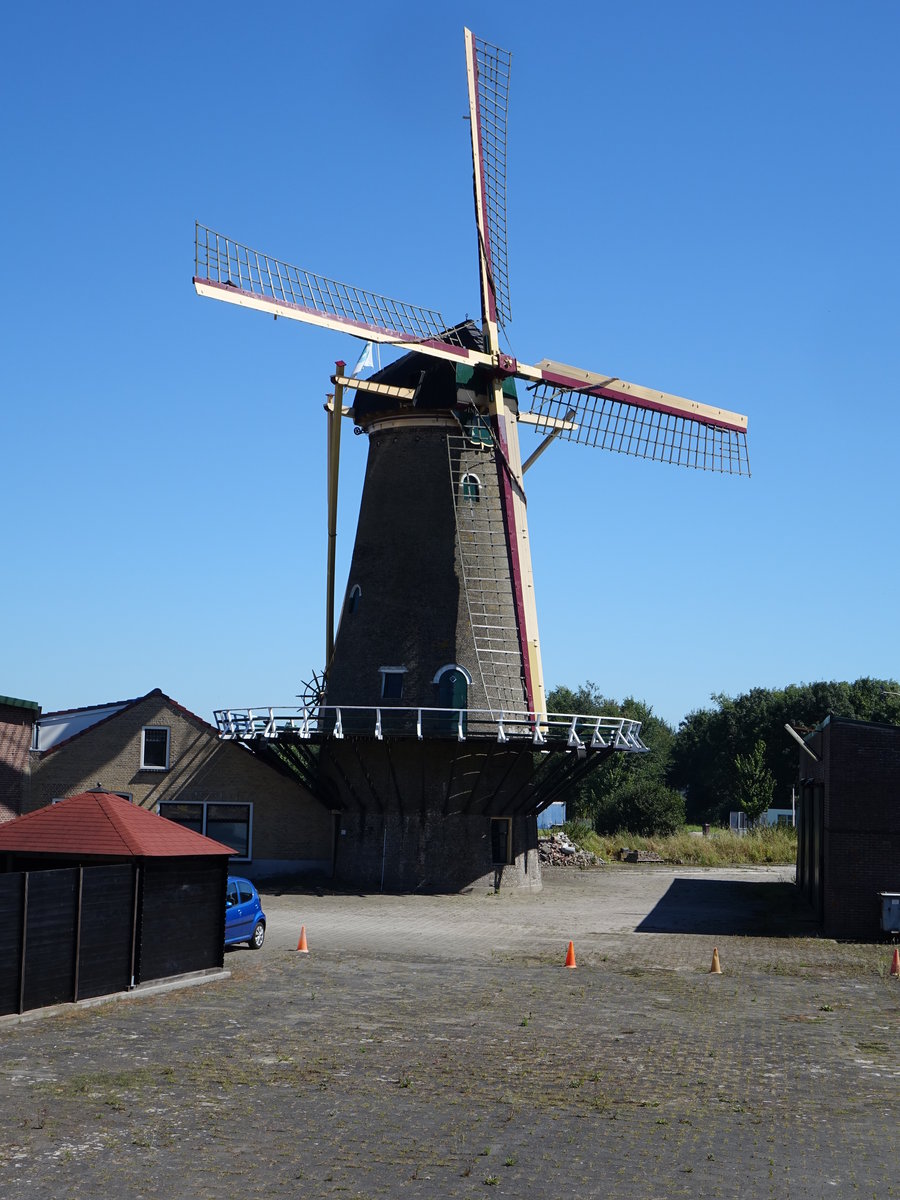 Achthuizen, Windmhle Windlust von 1852 durch Dirk David van Dijk (24.08.2016)