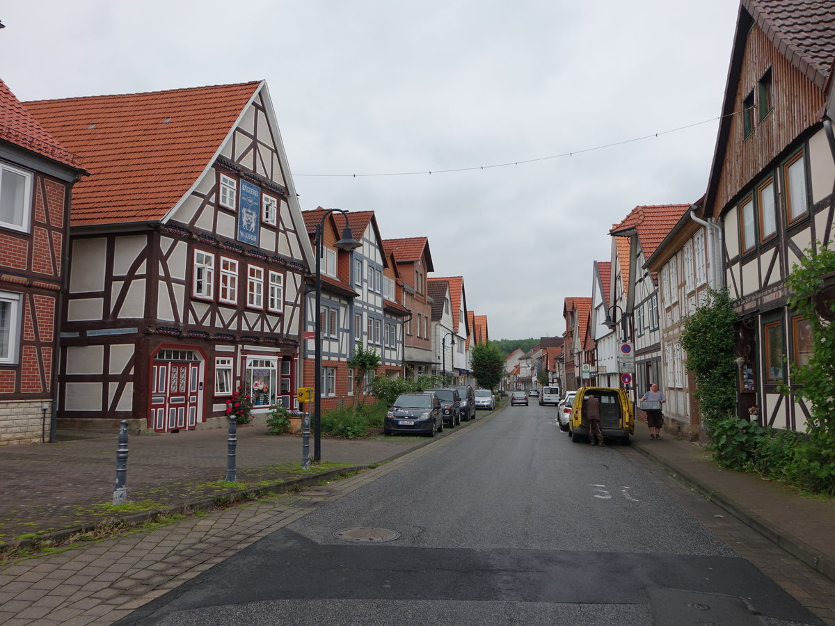 Adelebsen, historische Fachwerkhuser in der Langen Strae (06.06.2019)