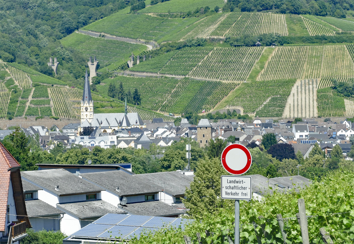 Ahrweiler mit der St. Laurentius-Kirche und im Hintergrund Weinberge mit einem Teil des Rotwein-Wanderweges. 29.06.2019