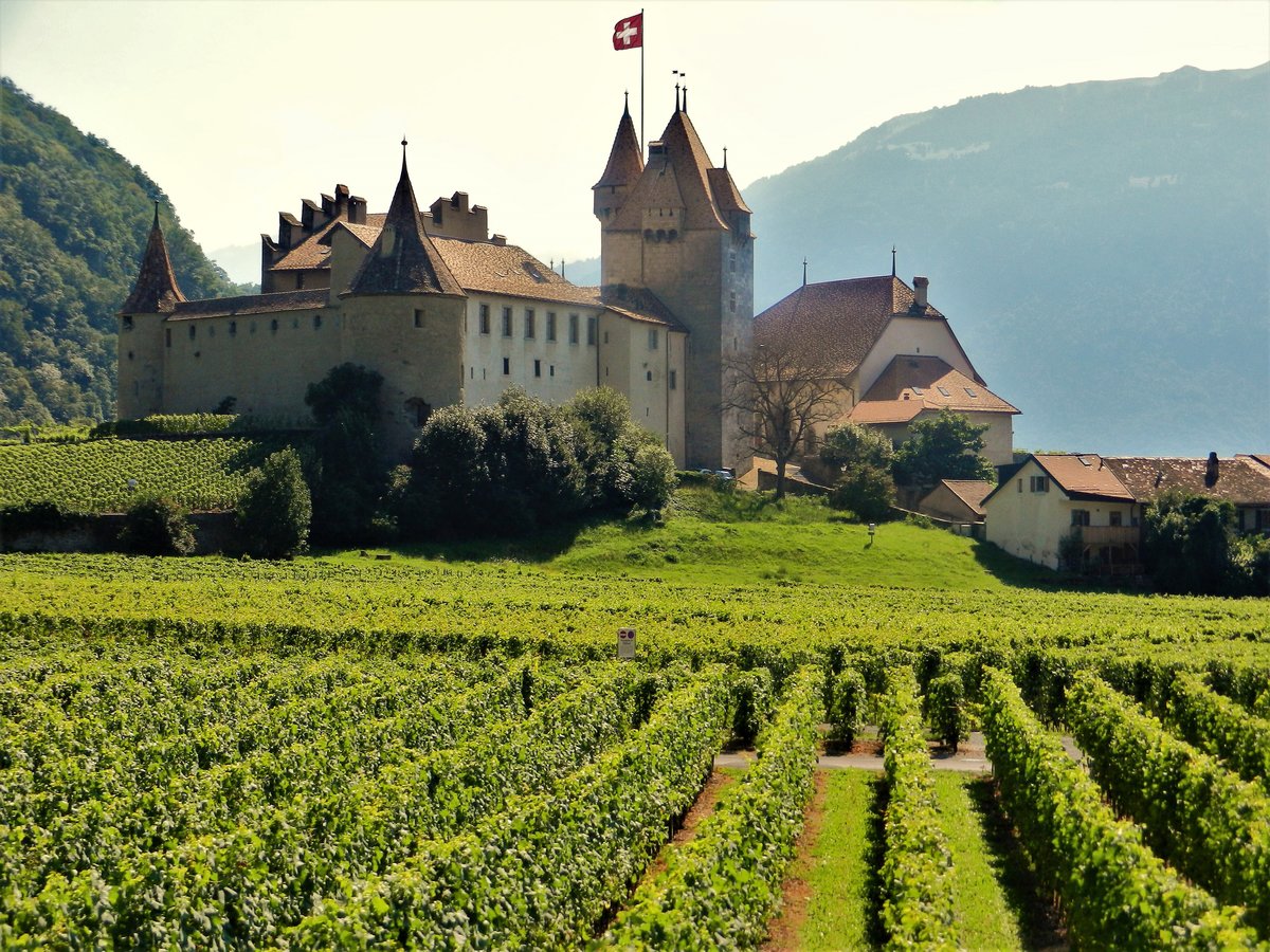 Aigle, das Schloss. Seit 1975 Weinmuseum - 15.08.2013