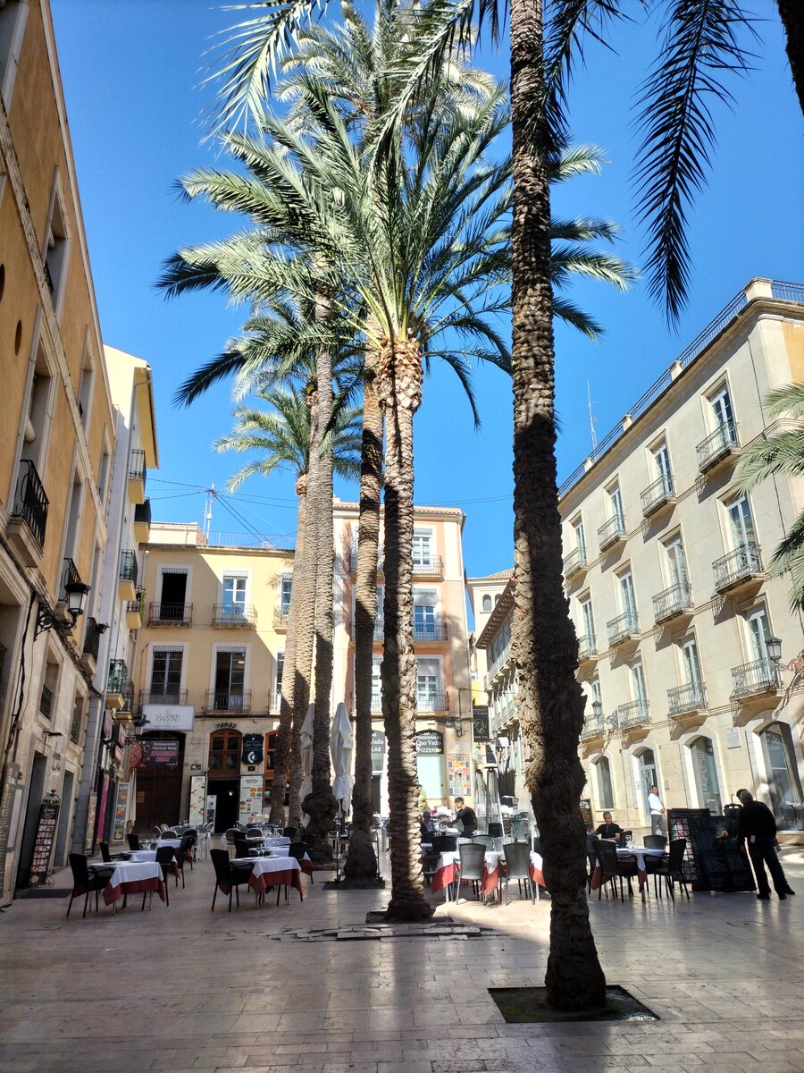 Alicante, Plaza de la Santisima Faz, 22.11.2023