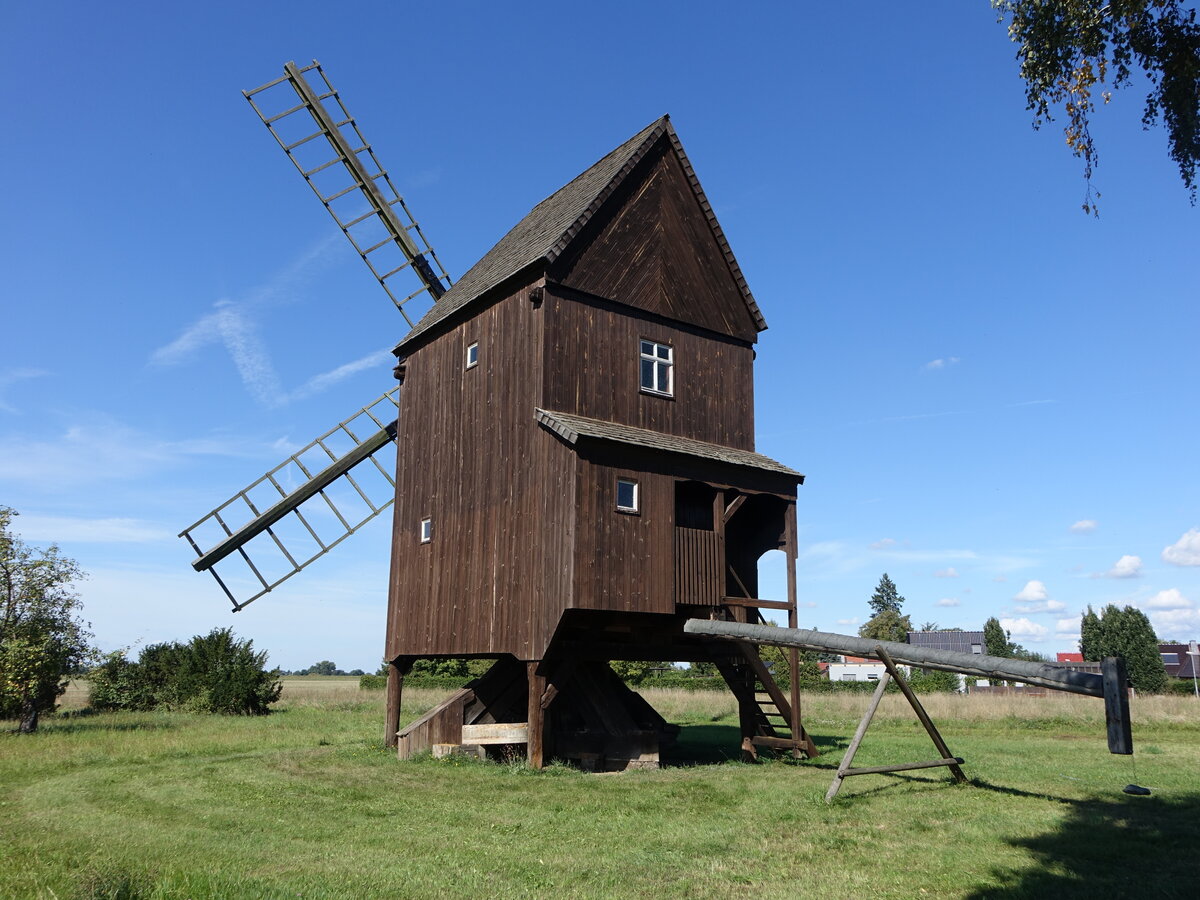 Altbelgern, historische Bockwindm�hle, erbaut 1834 (07.09.2025)