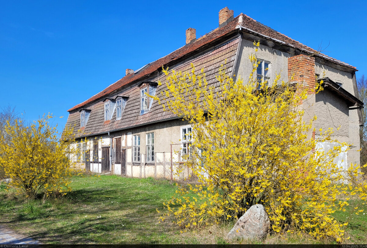 Altes Gutshaus in Friedrichshof, einem kleinen Ortsteil der Gemeinde Galenbeck.
Da es aus Fachwerk besteht, steht es sicher schon eine ganze Weile.

🕓 12.4.2025 | 11:49 Uhr